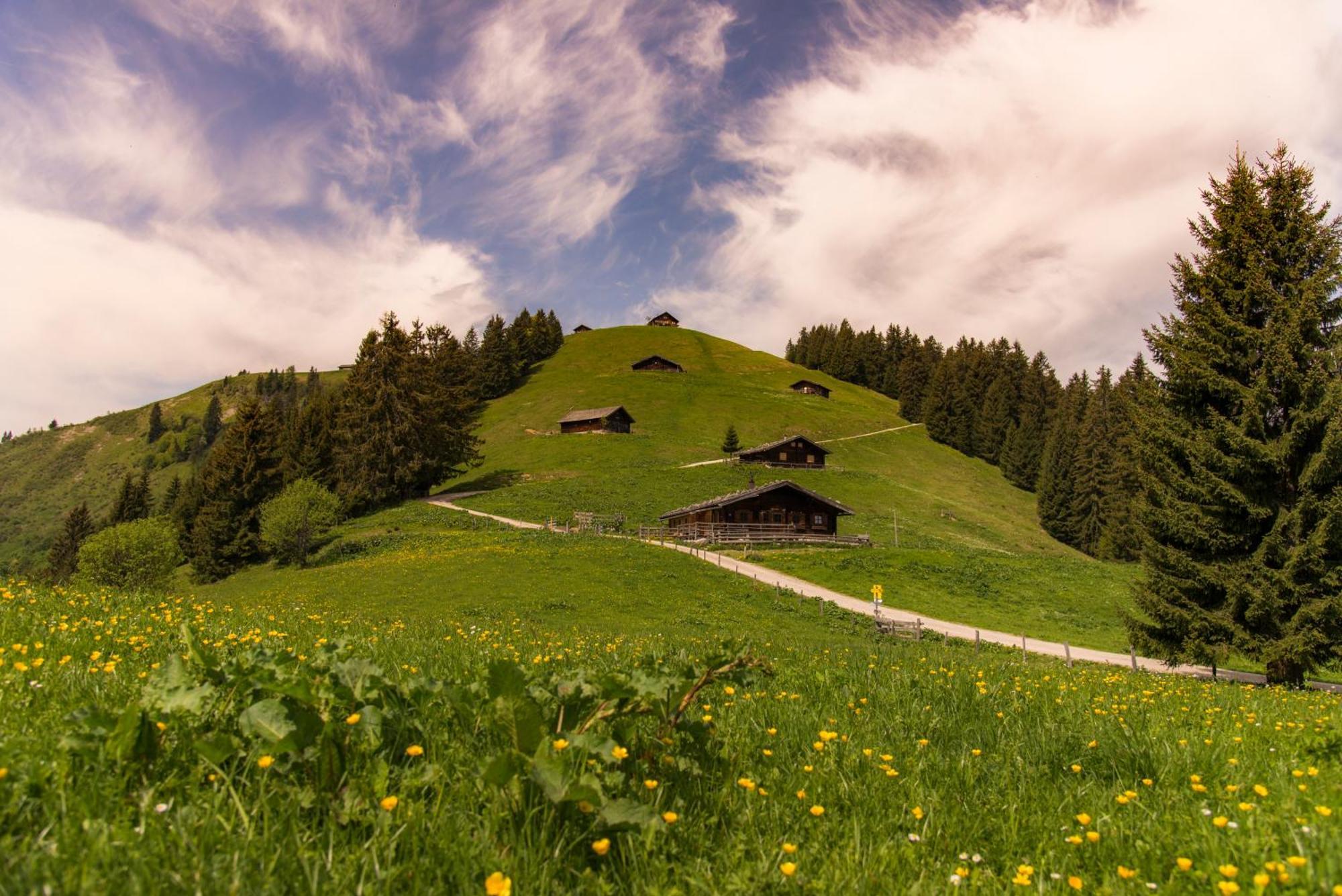 Dorfcafe Unken Hotelpension Swirtshaus Im Dorf Екстер'єр фото
